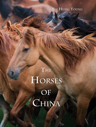 The Horses of China