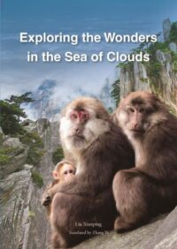 Exploring the Wonders in the Sea of Clouds
