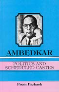 Ambedkar, Politics and Scheduled Castes