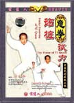 Stake Exercise of Yi Quan / Try Force of Yi Quan