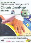 Lectures on Massage by Famous Experts of TCM: Chronic Lumbago
